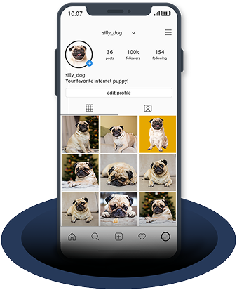 Everyone and their dog is a creator now